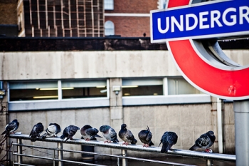 Londýnské metro - Underground